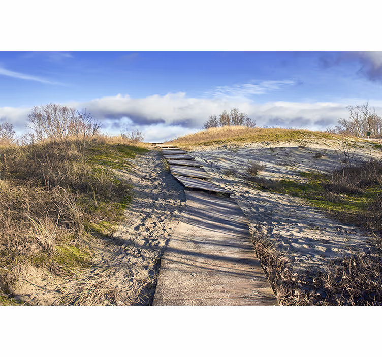 Wooden pathway landscape stenske poslikave - TenStickers