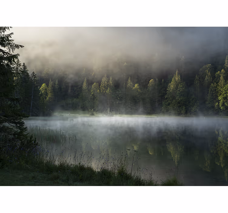 Serene misty lake fototapete narava - TenStickers