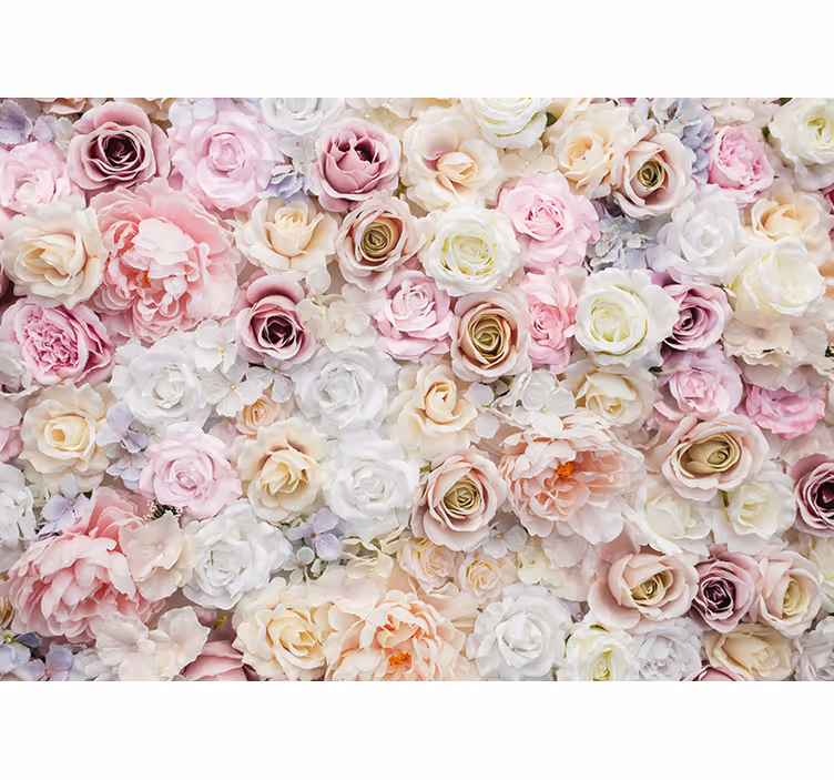 Rose blossom collection fototapete s cvetjem - TenStickers