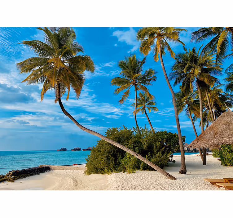 Tropical palm landscape fototapete narava - TenStickers