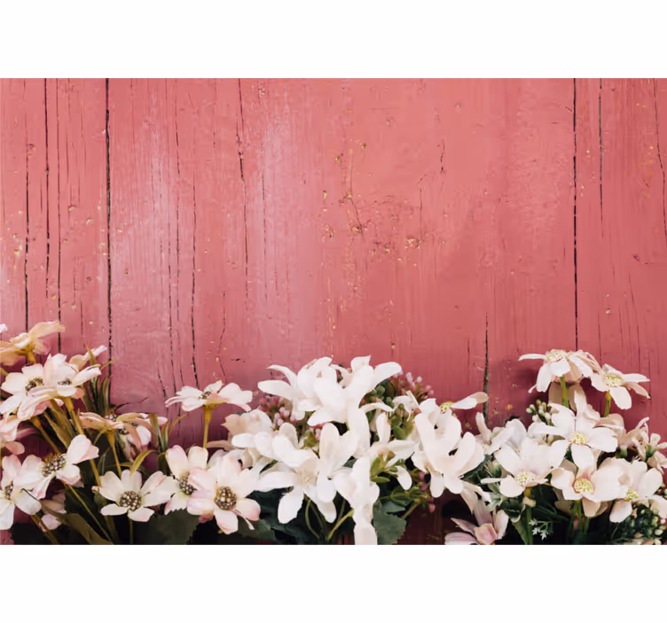 Delicate white blooms fototapete cvetje - TenStickers