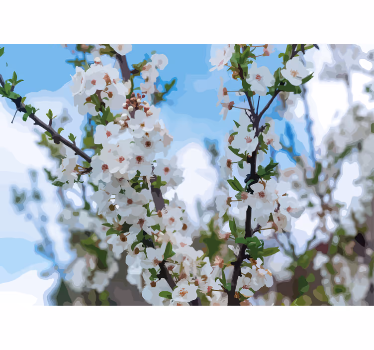 White blossom branch fototapete cvetje - TenStickers
