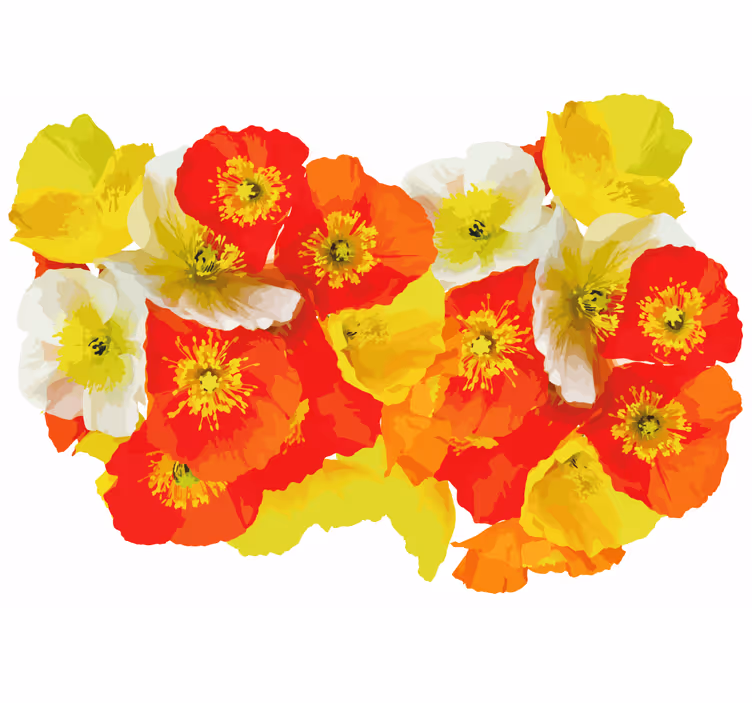 Poppy flower composition fototapete cvetje - TenStickers
