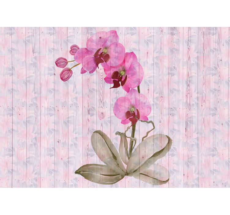 Pink orchid blooms fototapete cvetje - TenStickers