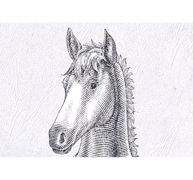 Elegant horse portrait fototapete z živalmi - TenStickers