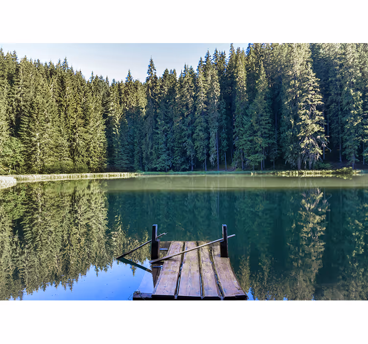Jezero z zelenimi drevesi za gozdno steno - TenStickers