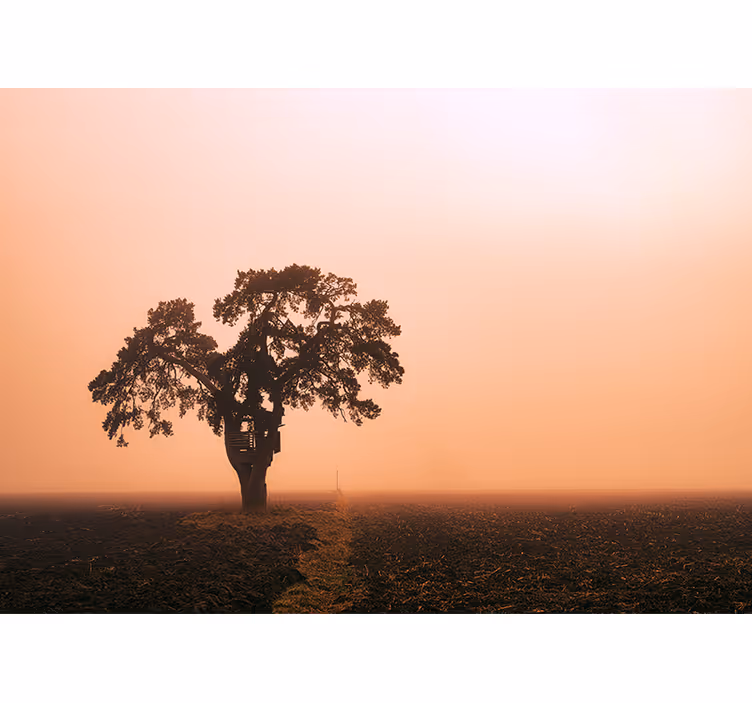 Veličastno drevo savane Afriško oblikovanje fototapeta - TenStickers