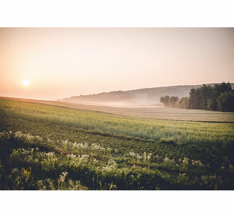 Tranquil green meadows stenske poslikave - TenStickers