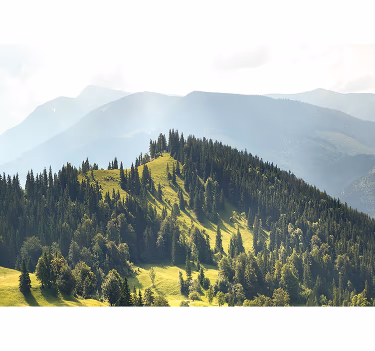 Mountain forest scene stenske poslikave - TenStickers