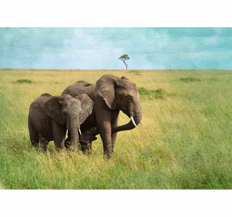 Elephants in grassland fototapete z živalmi - TenStickers