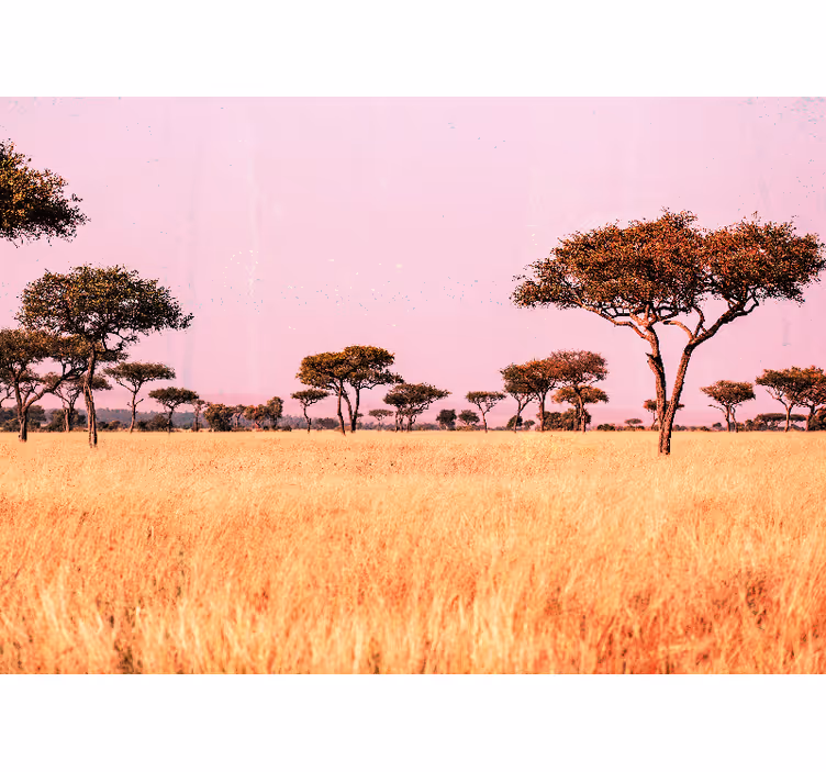 Serene savanna landscape stenske poslikave - TenStickers