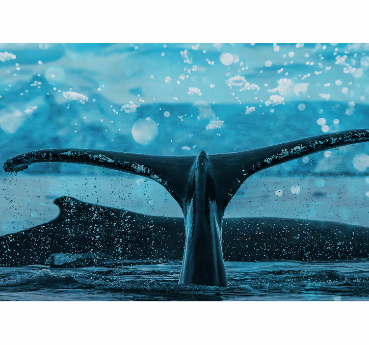 Whale fluke splash fototapete z živalmi - TenStickers