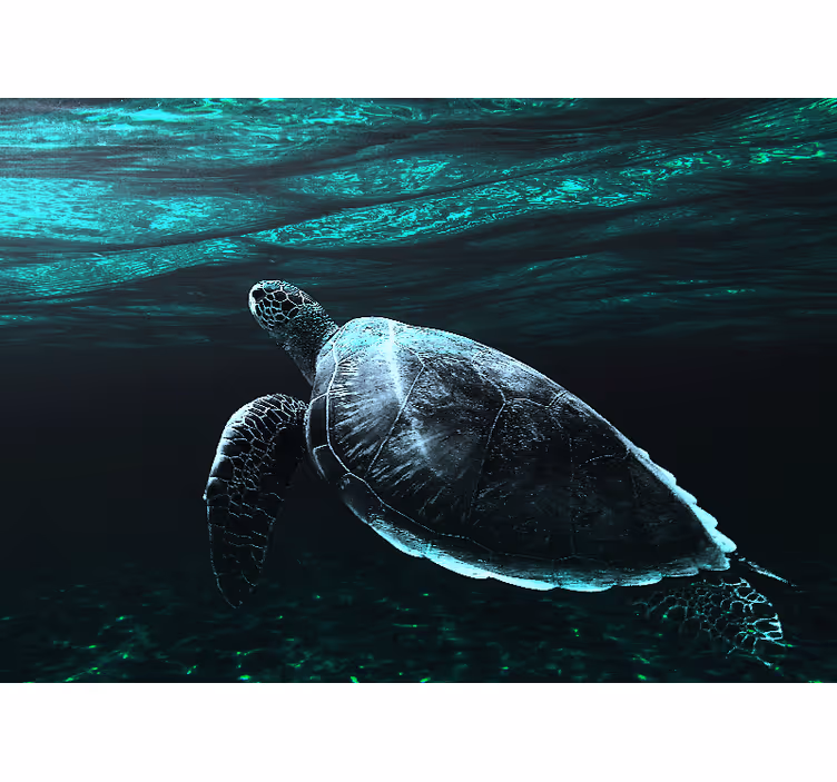 Majestic sea turtle fototapete z živalmi - TenStickers