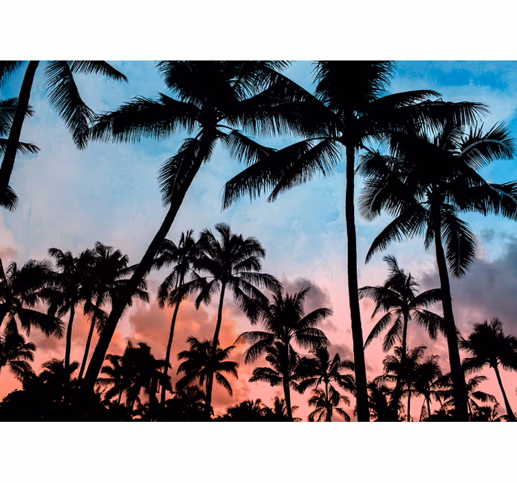 Tropical palm shadows fototapete narava - TenStickers