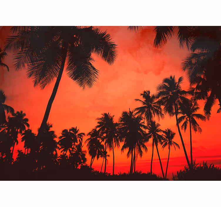 Silhouette palm trees fototapete narava - TenStickers