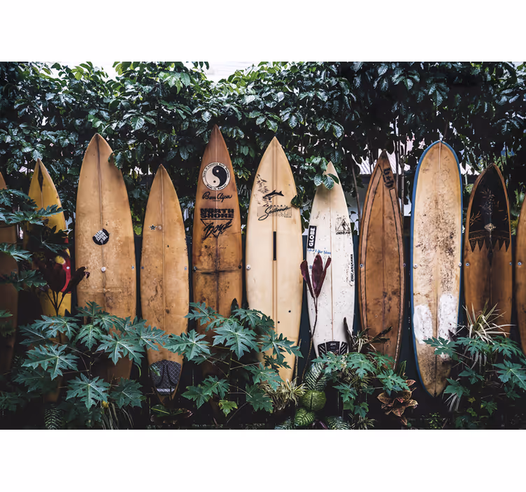 Surfboards on display fototapeta z vozili - TenStickers