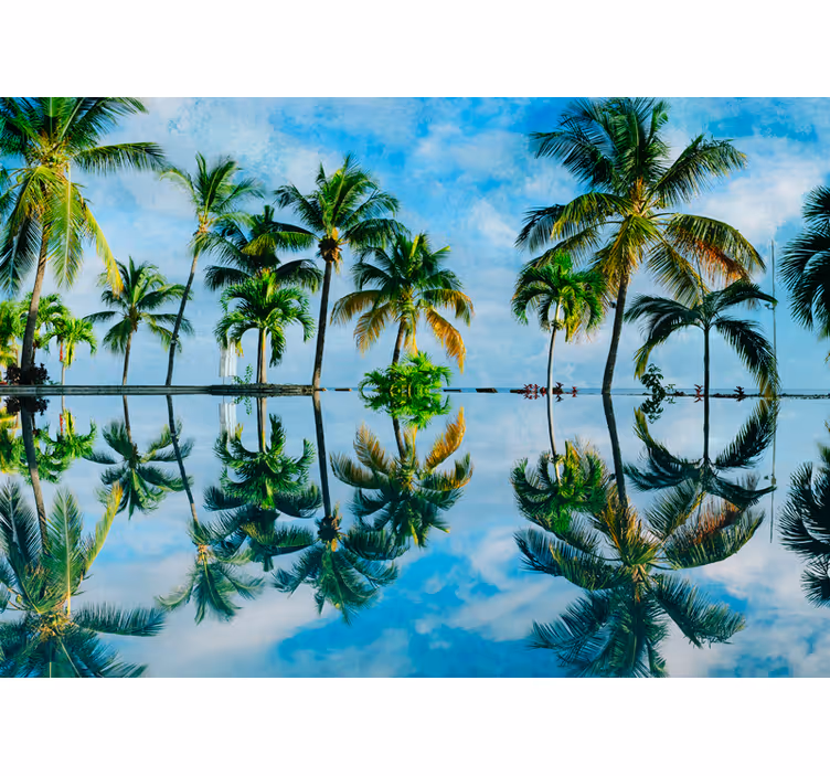 Lush palm reflections fototapete narava - TenStickers