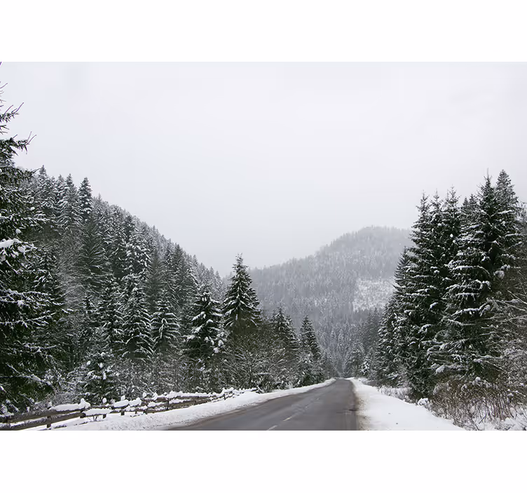 Icy mountain scenery fototapeta z gorami - TenStickers