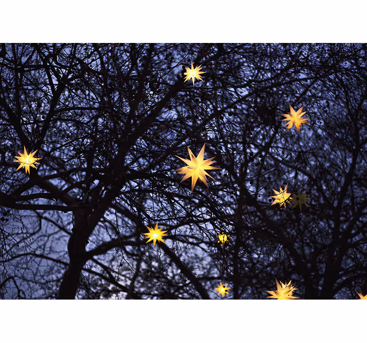 Golden starry night božična fototapeta - TenStickers