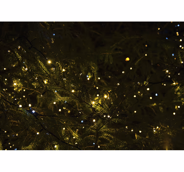 Festive tree lights božična fototapeta - TenStickers