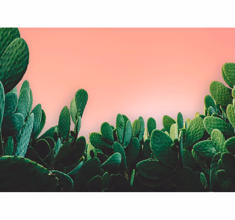 Cactus landscape fototapete narava - TenStickers