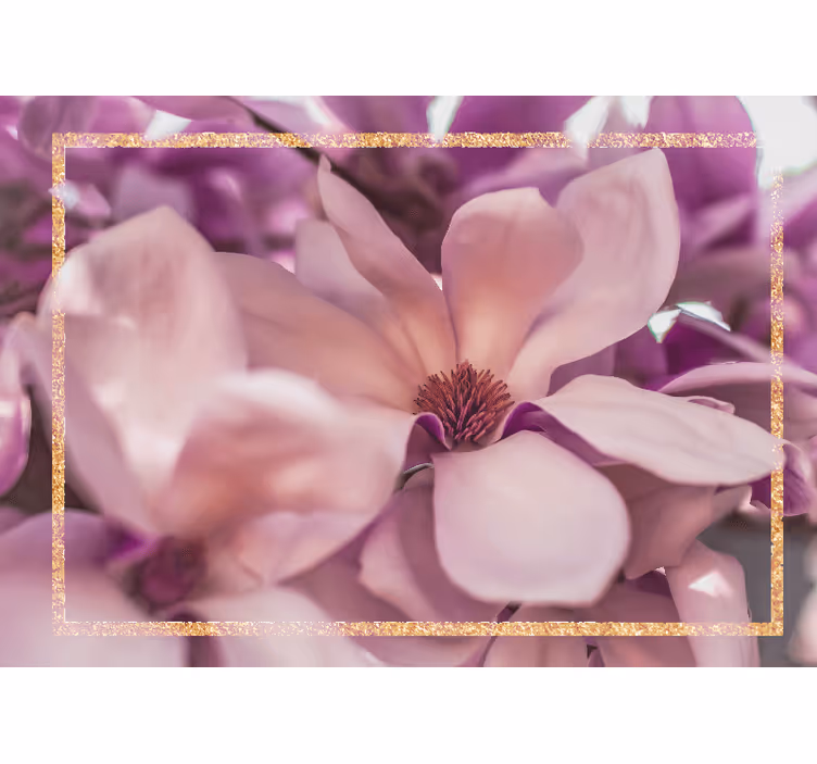 Magnolia blossom closeup fototapete cvetje - TenStickers