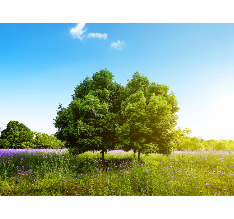 Lush green trees fototapete narava - TenStickers