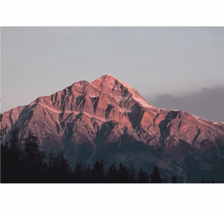 Naravna estetska fotografija naravna stenska slika - TenStickers