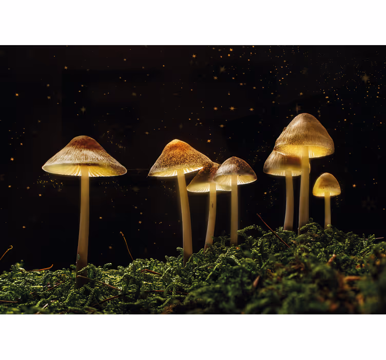 Glowing mushroom scene fototapete narava - TenStickers