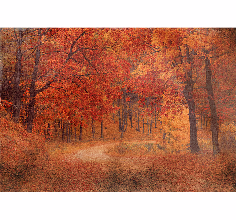 Rustic autumn pathway fototapete narava - TenStickers