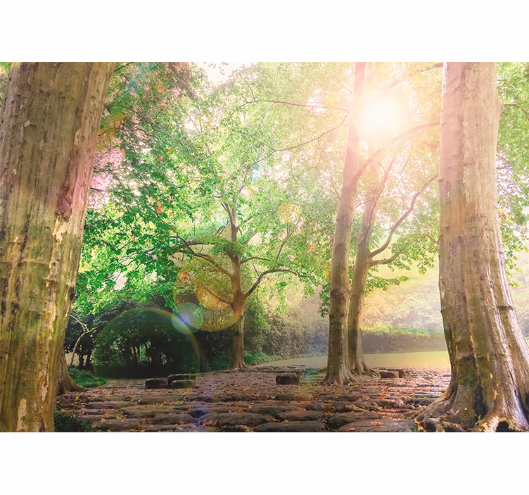 Lush greenery serenity fototapete narava - TenStickers