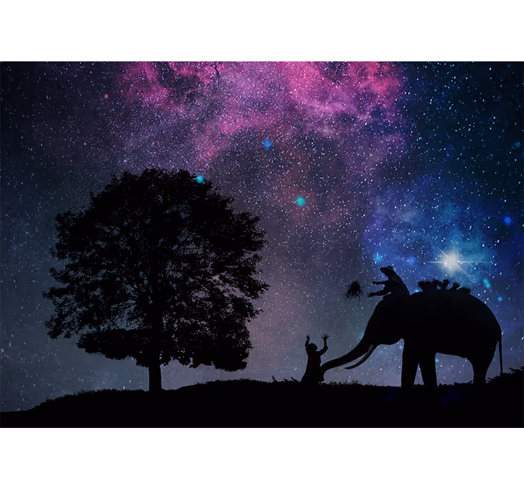 Cosmic elephant adventure fototapeta s citati - TenStickers