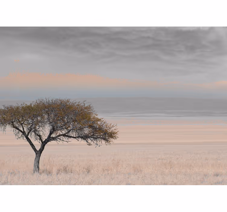 Afriška savana 3 barve poročne stenske fototapete - TenStickers