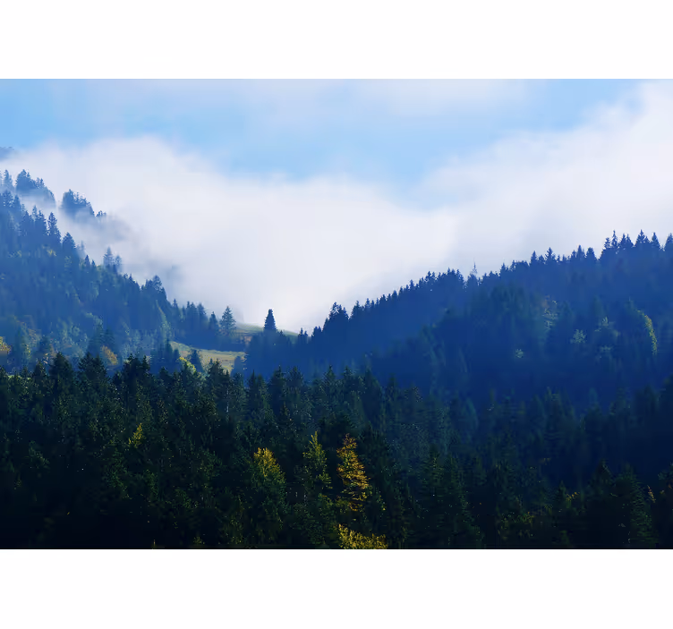 Mountains and fog fototapete narava - TenStickers