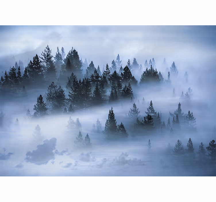 Hazy evergreen woods fototapete narava - TenStickers