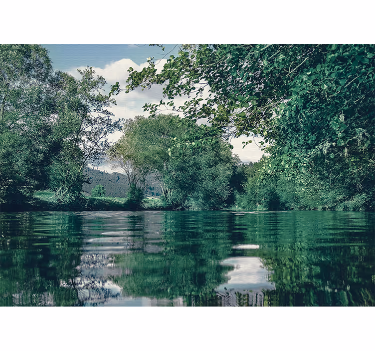 Tranquil river landscape fototapete narava - TenStickers