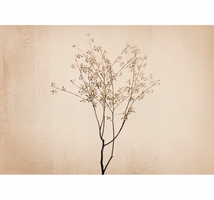 Delicate floral branch fototapete cvetje - TenStickers