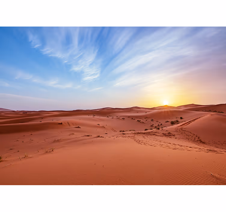Golden desert sunset fototapete puščava - TenStickers