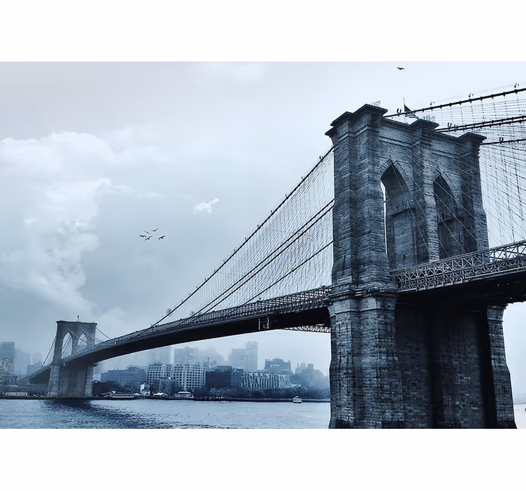 Manhattanski most zimski newyorški stenski poslikavi - TenStickers
