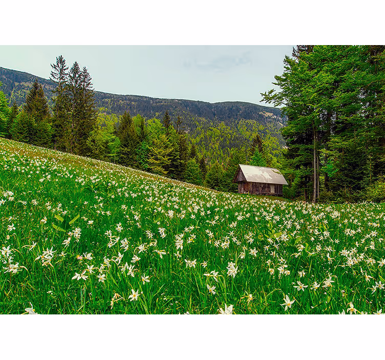 Serene pastoral landscape fototapete narava - TenStickers