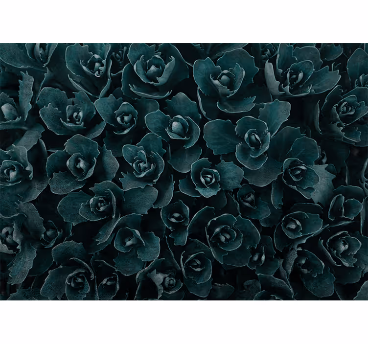 Elegant rose bloom fototapete s cvetjem - TenStickers
