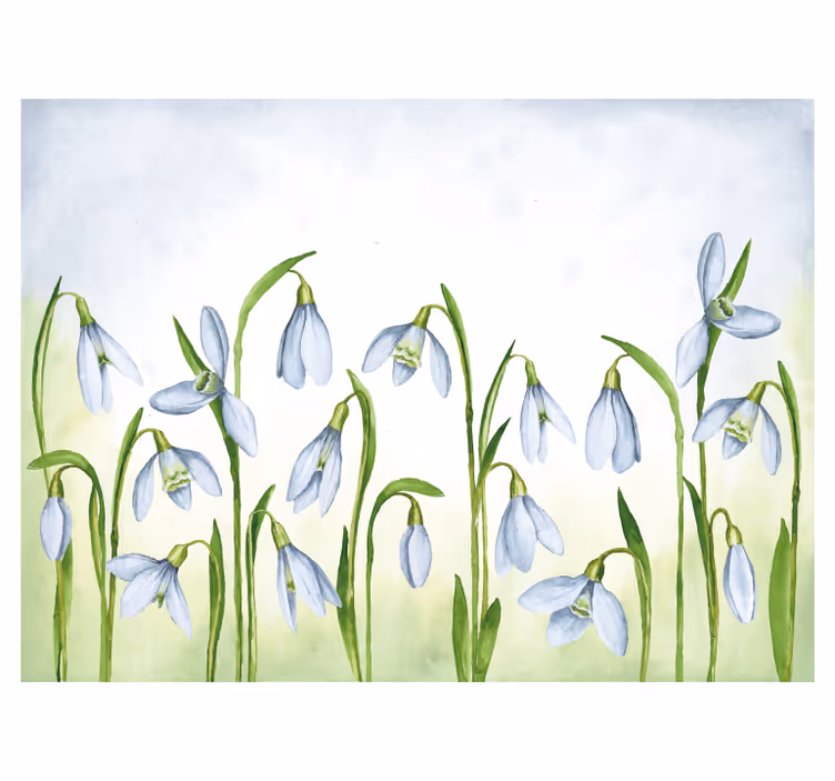 Snowdrop flora drugi fototapeti - TenStickers