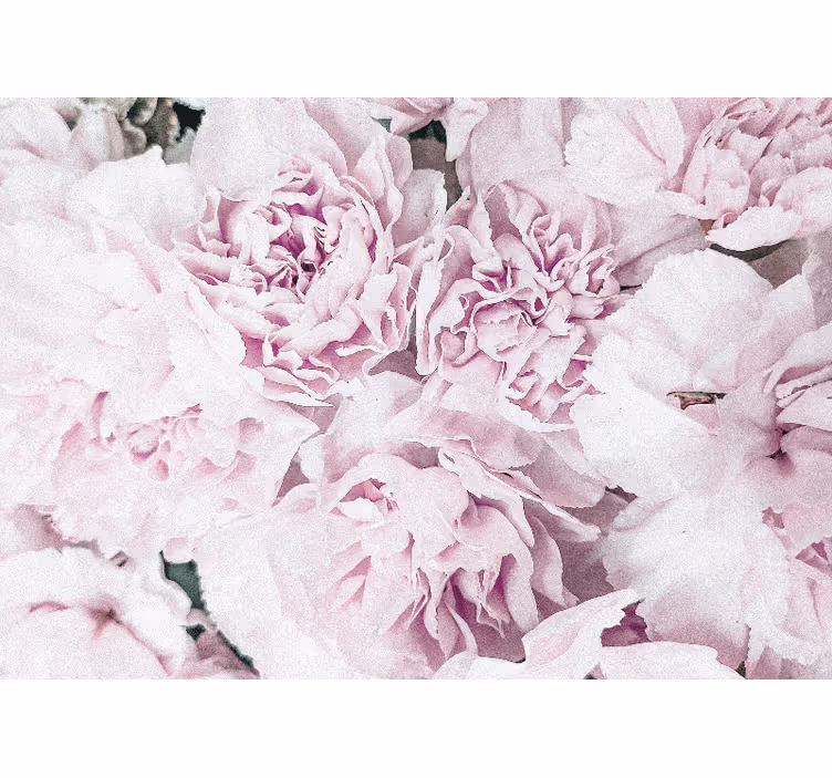 Soft pink blooms fototapete cvetje - TenStickers