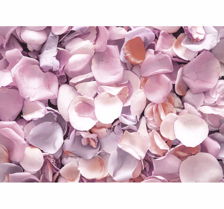 Rose petal close-up fototapete cvetje - TenStickers