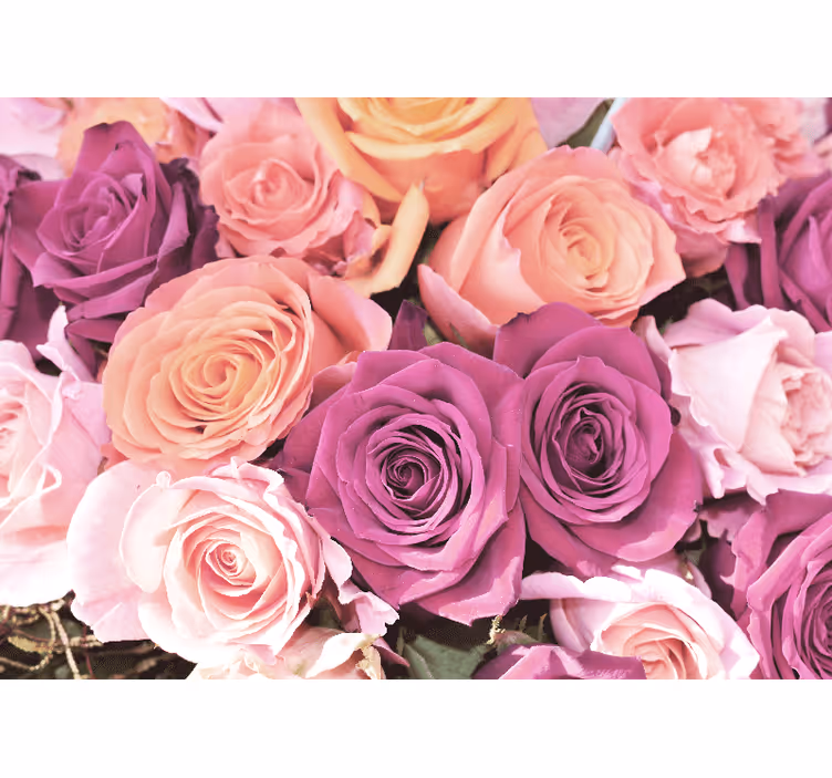 Rose bouquet closeup fototapete cvetje - TenStickers