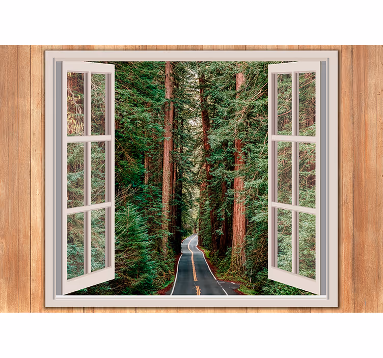 Forest pathway view fototapete narava - TenStickers