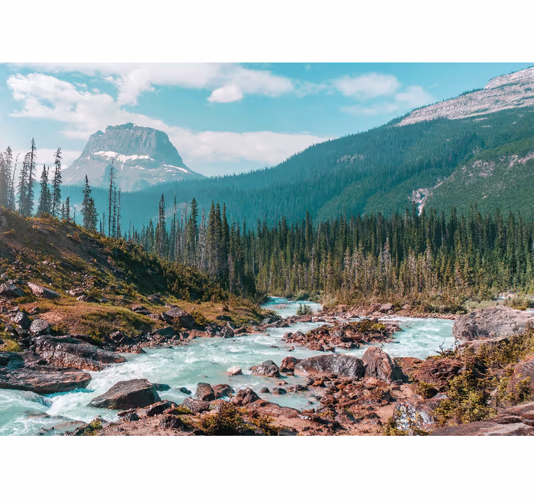 Verdant mountain stream stenske poslikave - TenStickers