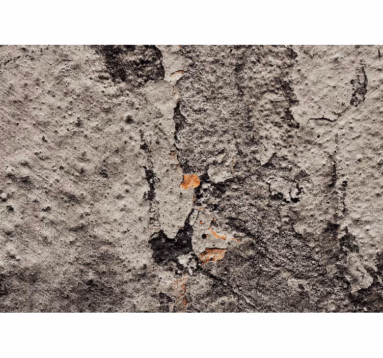 Textured concrete wall fototapete z besedilom in teksturami - TenStickers