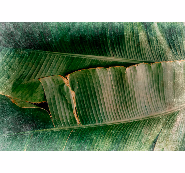 Vibrant foliage tiers fototapete narava - TenStickers
