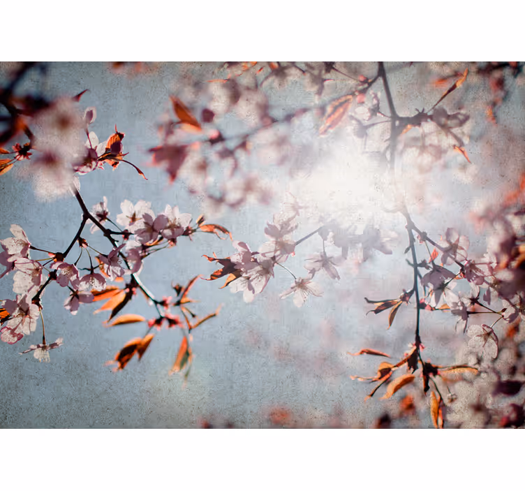 Sakura twigs fototapete cvetje - TenStickers